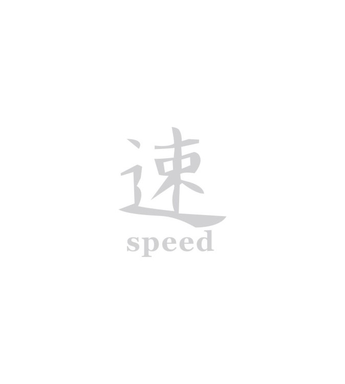 Abtibild Speed alb reflectorizant auto decorativ pentru exterior si interior Cod: DZ-24