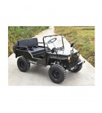 Mini Jeep 125cc 7.5CP cu marsarier 3 viteze off-road pentru copii si adulti Cod: JW1101-125