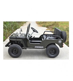 Mini Jeep 125cc 7.5CP cu marsarier 3 viteze off-road pentru copii si adulti Cod: JW1101-125