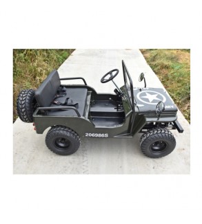 Mini Jeep 125cc 7.5CP cu marsarier 3 viteze off-road pentru copii si adulti Cod: JW1101-125