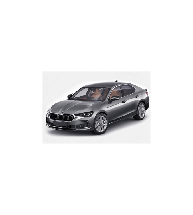 Capace oglinda tip Batman auto compatibile Skoda Superb IV B9 2024-> Cod: C613-BAT2