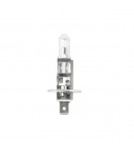 Bec halogen H1 24V 70W Breckner Germany Cod: BK80109