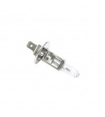 Bec halogen H1 24V 70W Breckner Germany Cod: BK80109