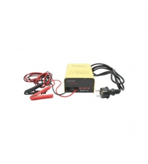 Redresor auto 12V 10A pentru baterii 30-150Ah Cod: BK87712