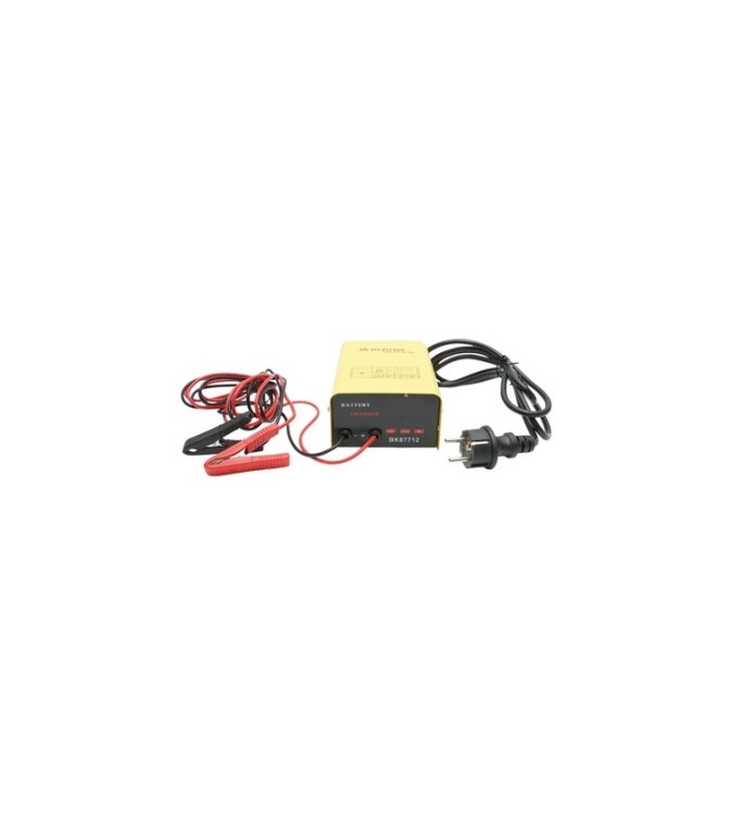 Redresor auto 12V 10A pentru baterii 30-150Ah Cod: BK87712