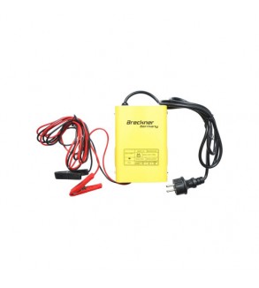 Redresor auto 12V 10A pentru baterii 30-150Ah Cod: BK87712
