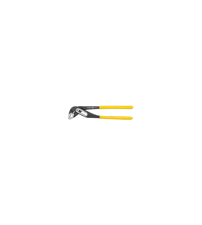 Cleste-tip-papagal-10