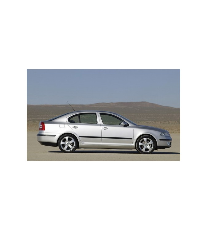 Perdele-interior-Skoda-Octavia-2-hatchbacksedan-2004-2013