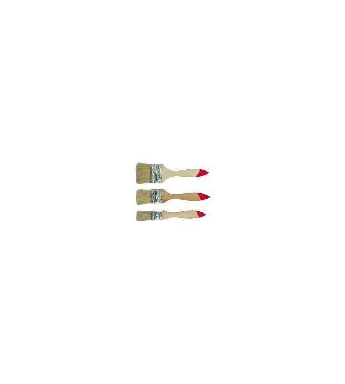 Pensula-Profesionala-63mm09524