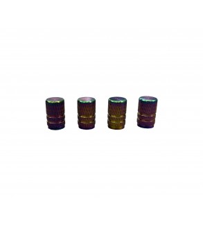 Capacele valve  multicolore Cod: FS-1311