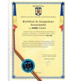 Set perdele laterale FATA Logan I 2004-2012