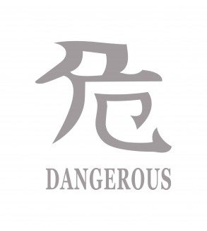 Abtibild "DANGEROUS" diverse culori Cod: DZ-22 - Negru DZ-22