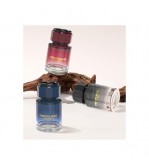 Difuzor auto lichid cu ulei esential 110ml diverse esente Cod: FS-3603