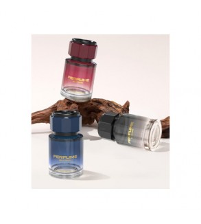 Difuzor auto lichid cu ulei esential 110ml diverse esente Cod: FS-3603