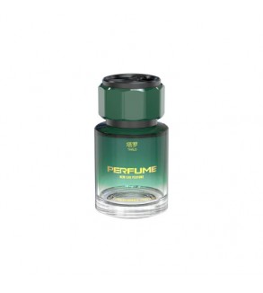 Difuzor auto lichid cu ulei esential 110ml diverse esente Cod: FS-3603