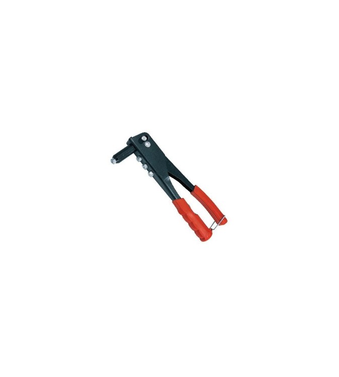 Cleste Pop-Nituri Cod: ST21309 - BT09020