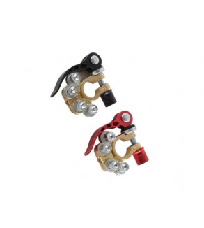 Set 2 borne profesionale cu 4 terminale si clema cuplare rapida Cod: TL-344