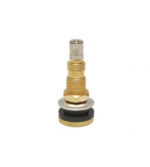 Valva tubeless alama TR618A Cod: DISLM27