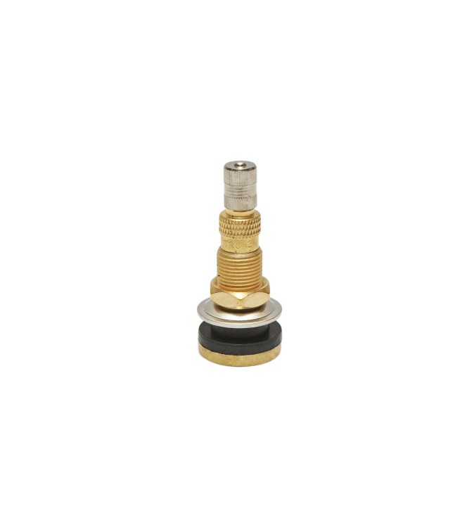 Valva tubeless alama TR618A Cod: DISLM27