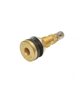 Valva tubeless alama TR618A Cod: DISLM27