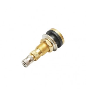 Valva tubeless alama TR618A Cod: DISLM27