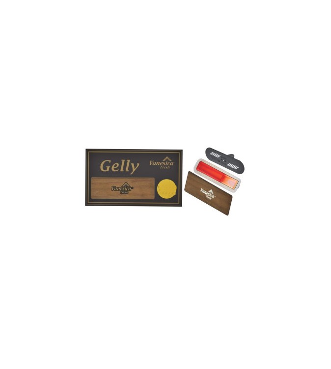 Odorizant auto Vanesica Fresh Gelly