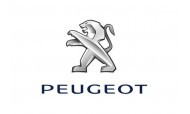 Covoare auto interior Peugeot